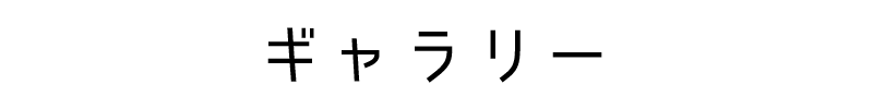 ギャラリー