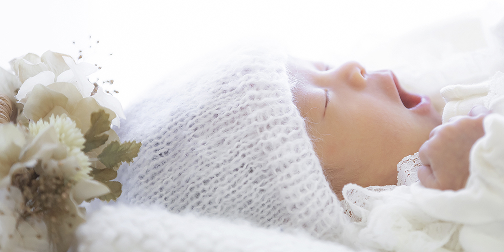 岐阜県写真館協会